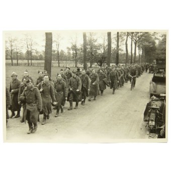 Français prisonniers de guerre sur la route. Espenlaub militaria